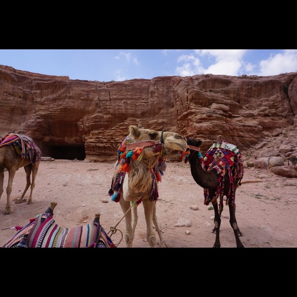 Hey Ya’ll! I’m Kim! Happy Poshing! - Picture 7 of 8